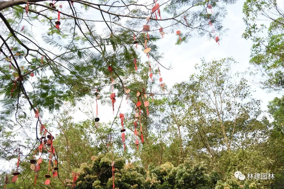 640.webp (20).jpg 640.webp (20).jpg